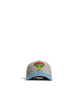 Gray & Blue Tropical Hat