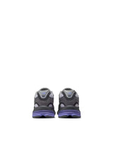 2010 - Purple Pigeon