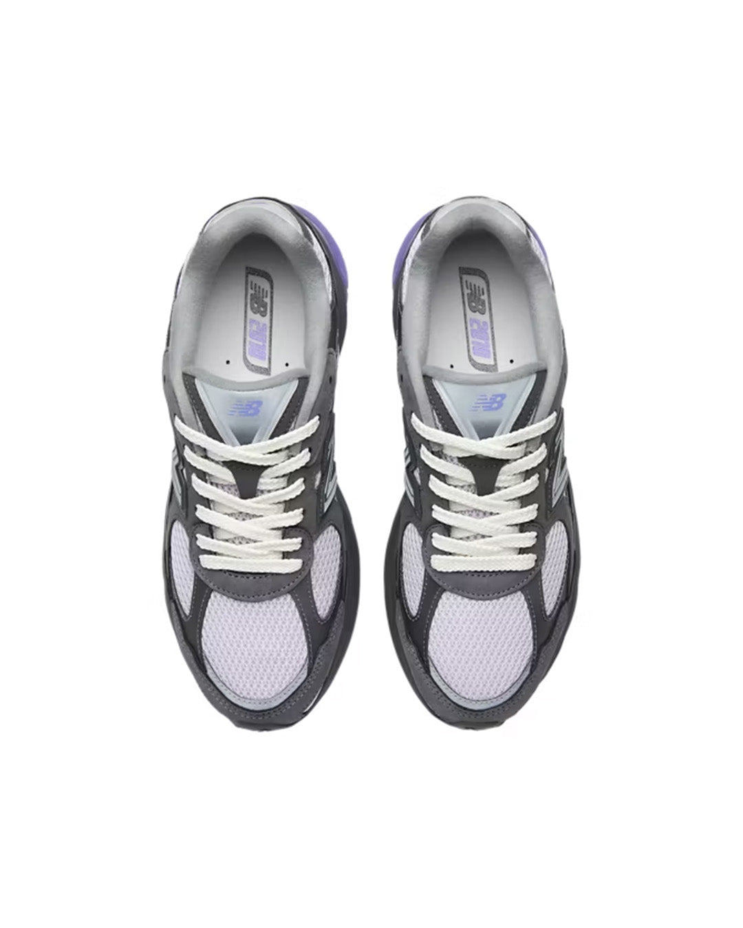 2010 - Purple Pigeon