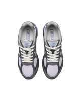 2010 - Purple Pigeon