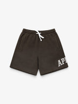 Washed Brown 'Campus' Sweatshorts