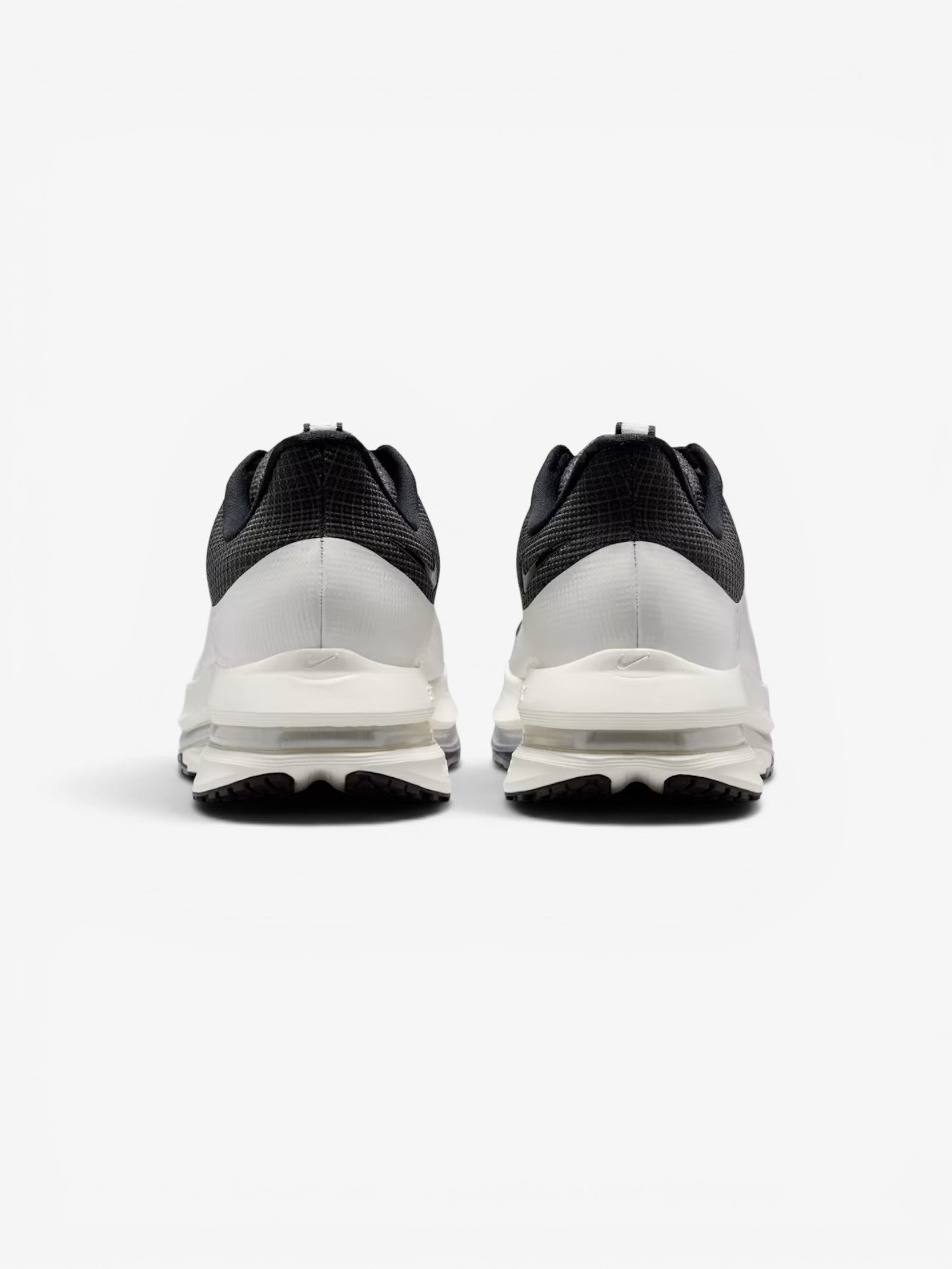 Pegasus Premium - Black/Sail
