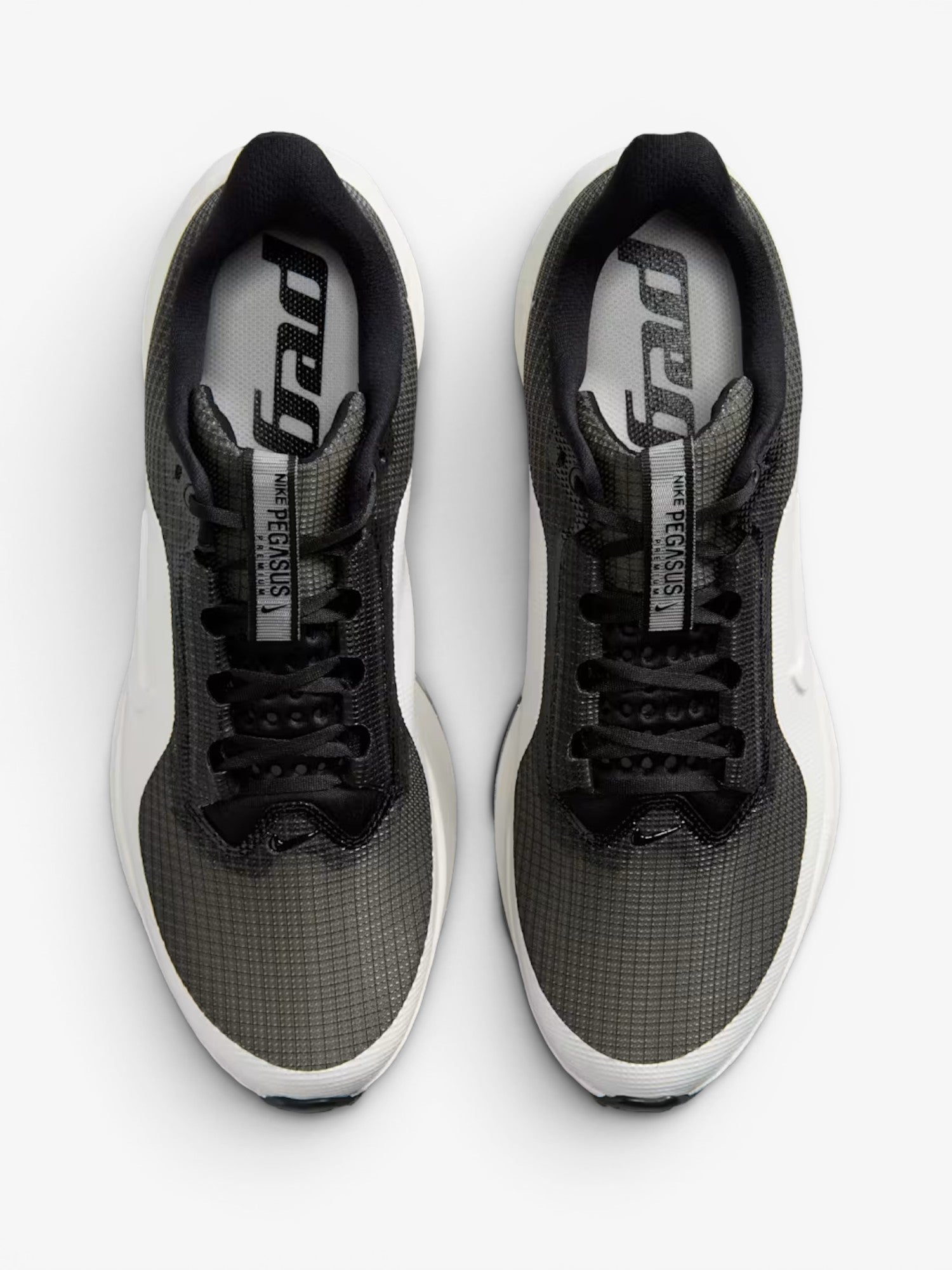 Pegasus Premium - Black/Sail