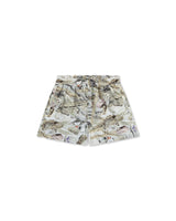 Multicolor 'Beach Print' Swin Shorts