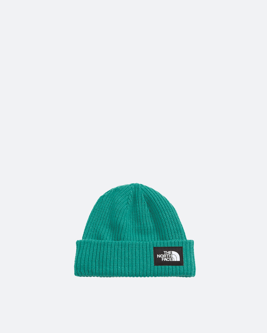 Green Salty Dog Beanie