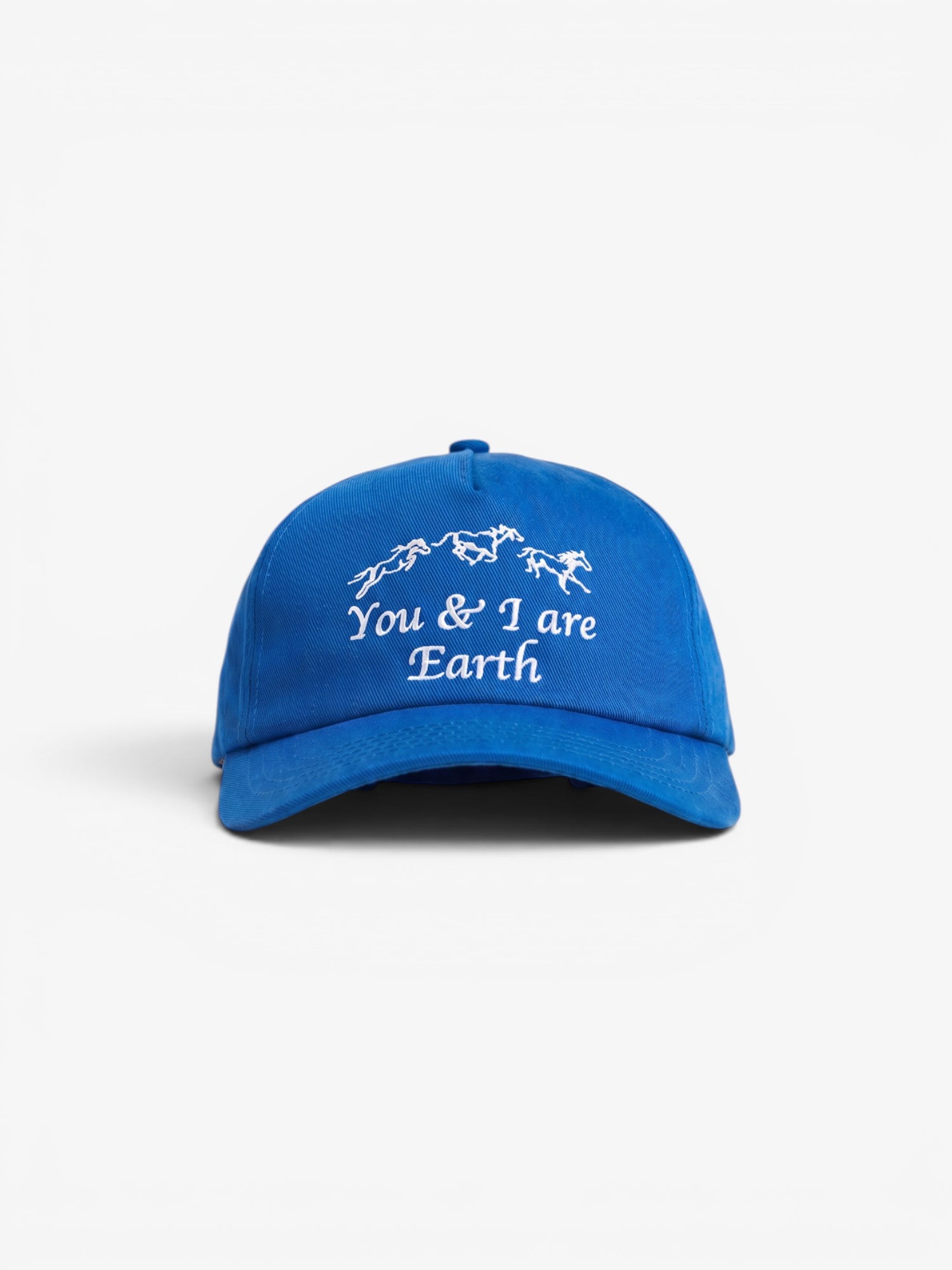 Blue 'You & I Are Earth' Cap